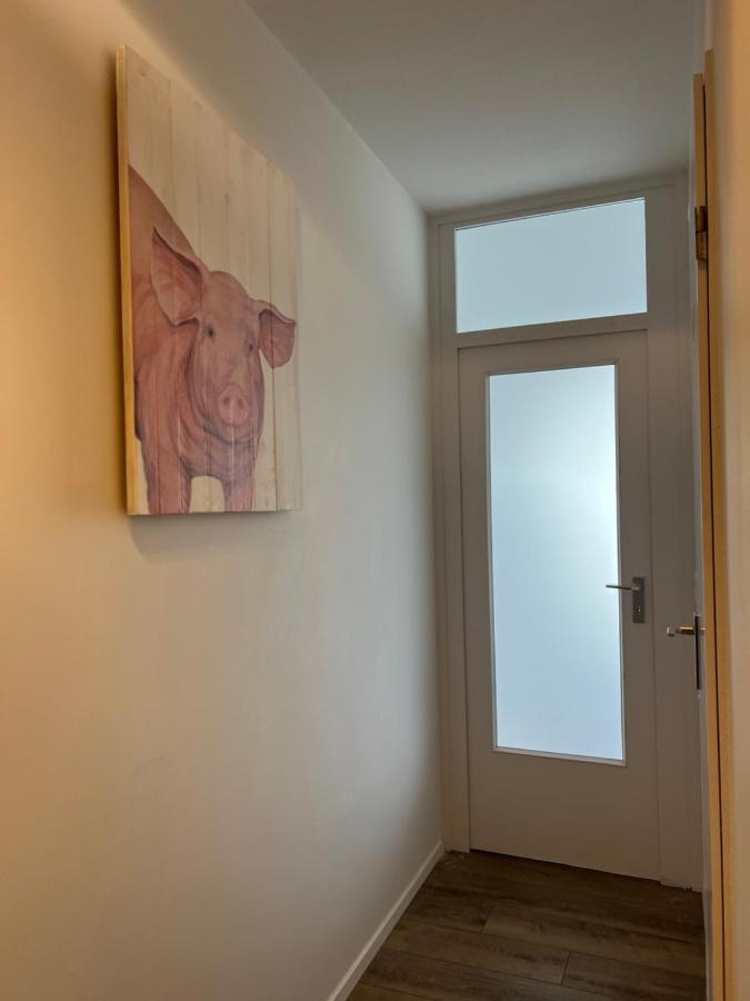 Inselblick 2 Apartment Шлесвиг Екстериор снимка